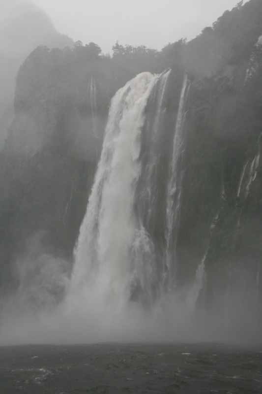 Nieuw-Zeeland 2011 - 1708